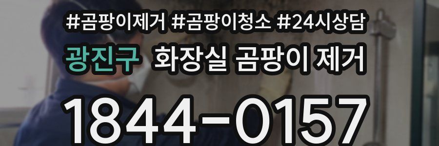 광진구 화장실 곰팡이 제거