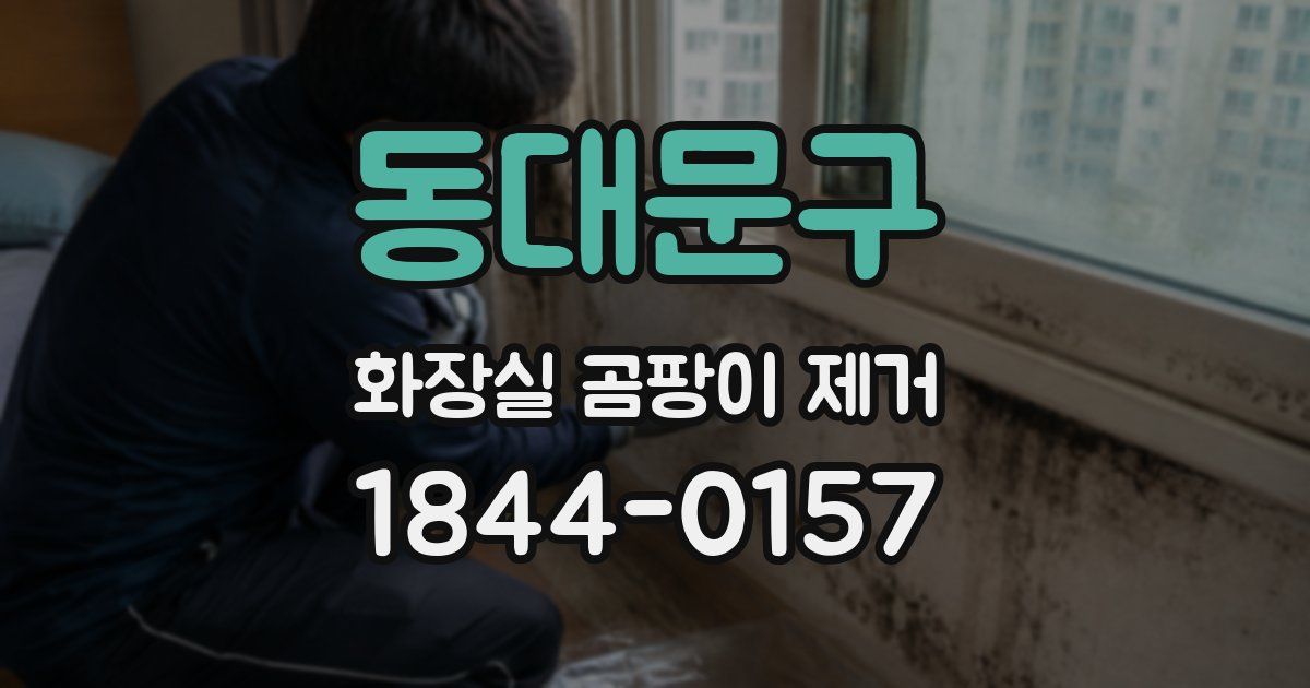 동대문구 화장실 곰팡이 제거