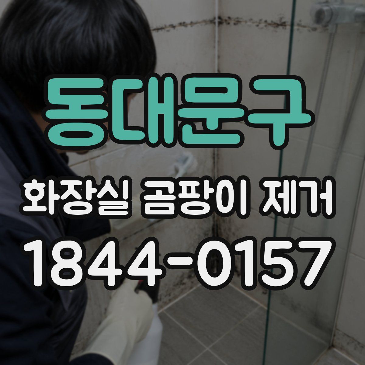 동대문구 화장실 곰팡이 제거