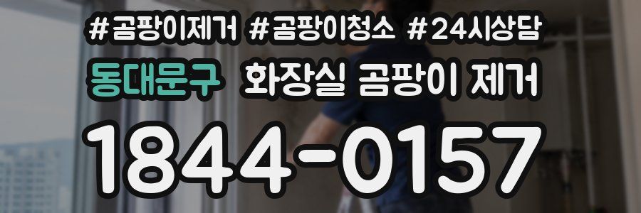 동대문구 화장실 곰팡이 제거