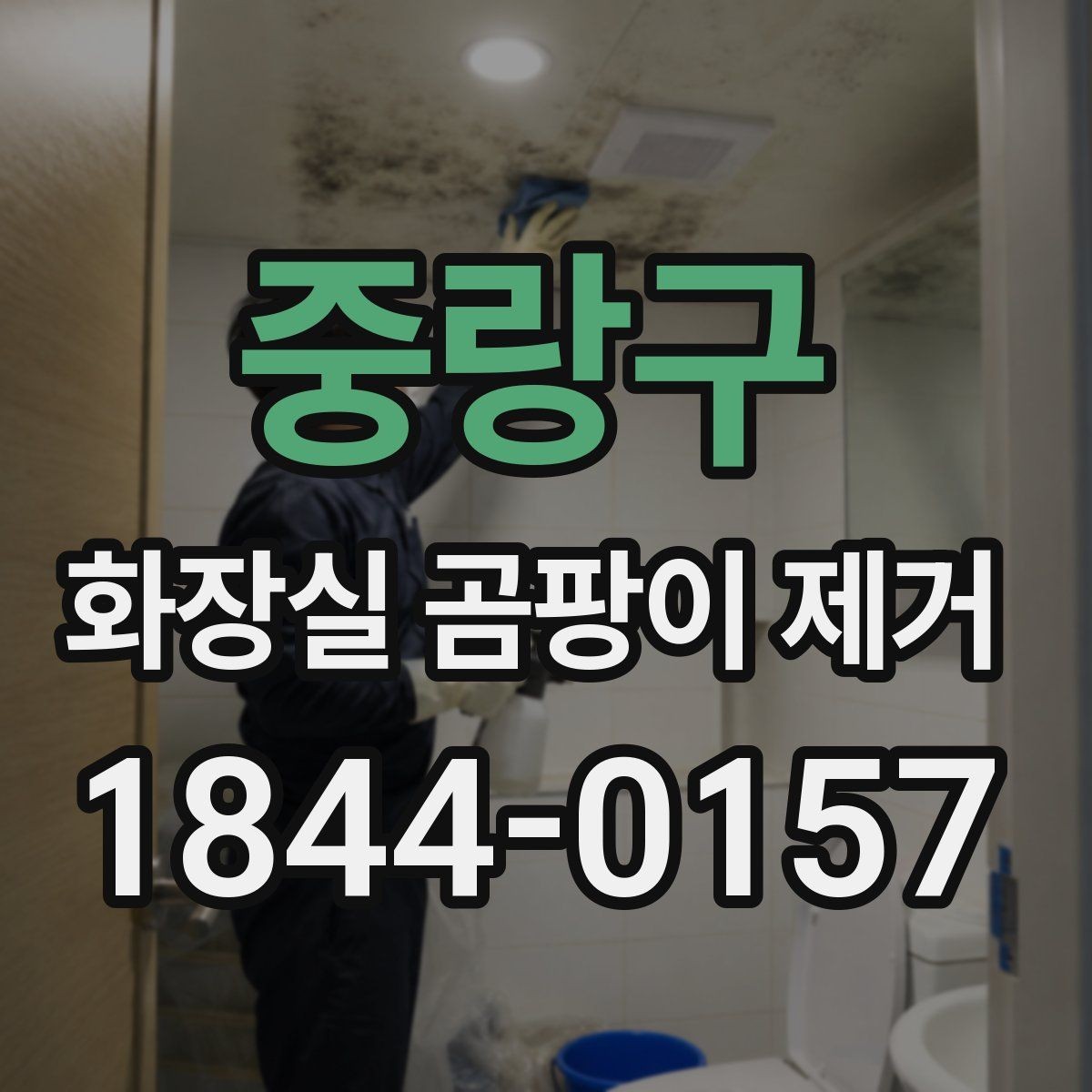 중랑구 화장실 곰팡이 제거 깊게 스며든 줄눈 오염 처리 순서