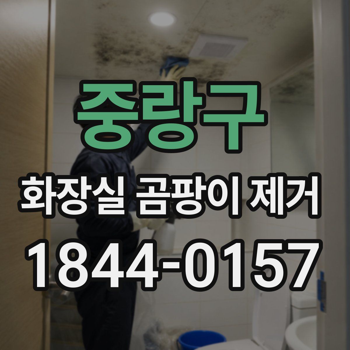 중랑구 화장실 곰팡이 제거