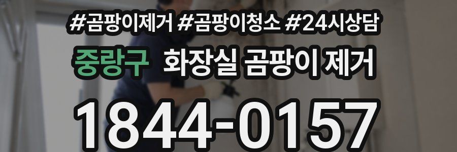 중랑구 화장실 곰팡이 제거