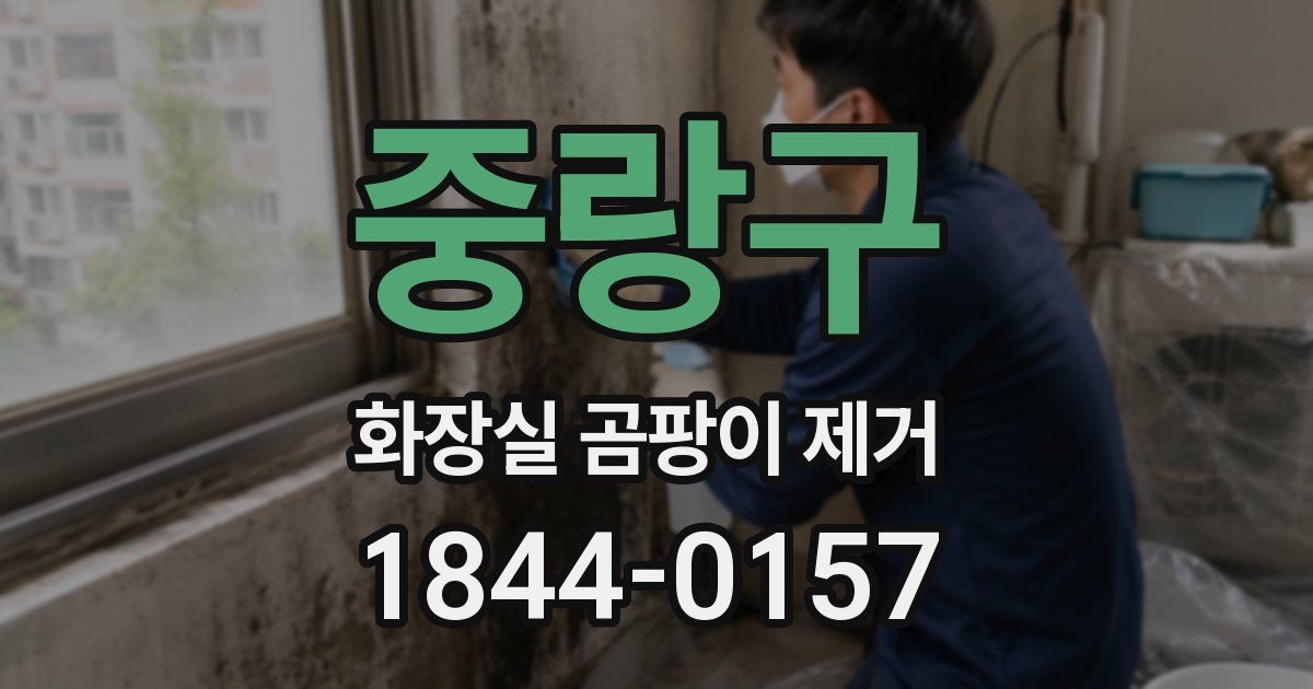중랑구 화장실 곰팡이 제거