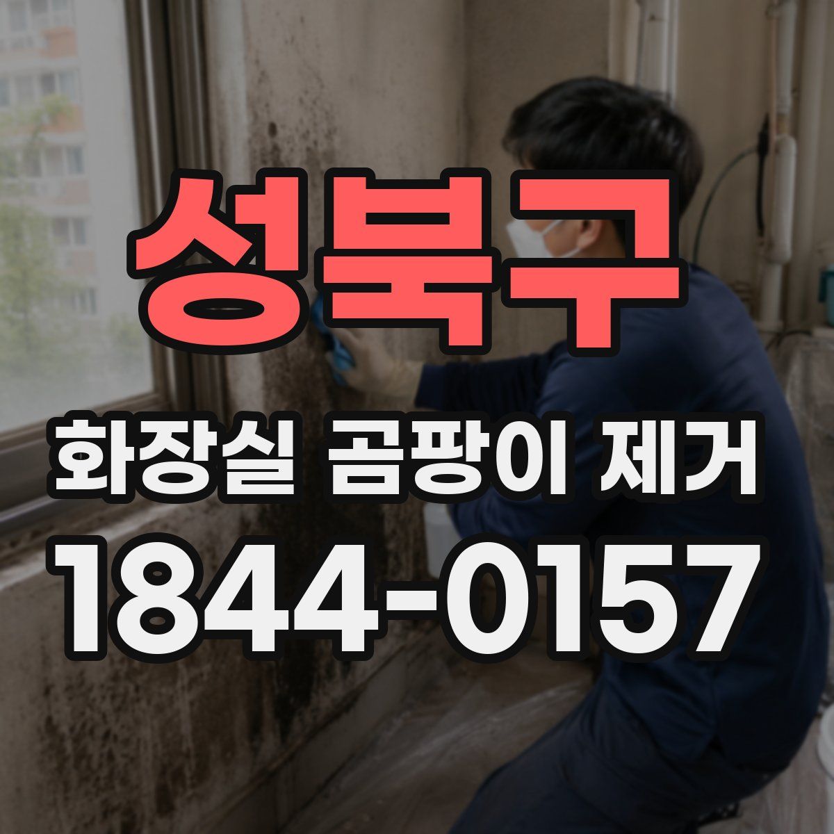 성북구 화장실 곰팡이 제거