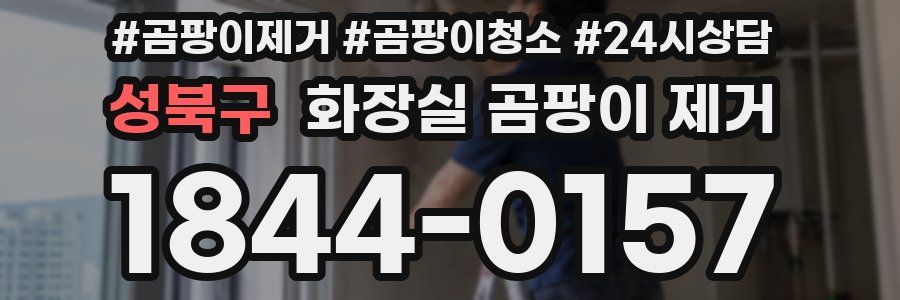 성북구 화장실 곰팡이 제거