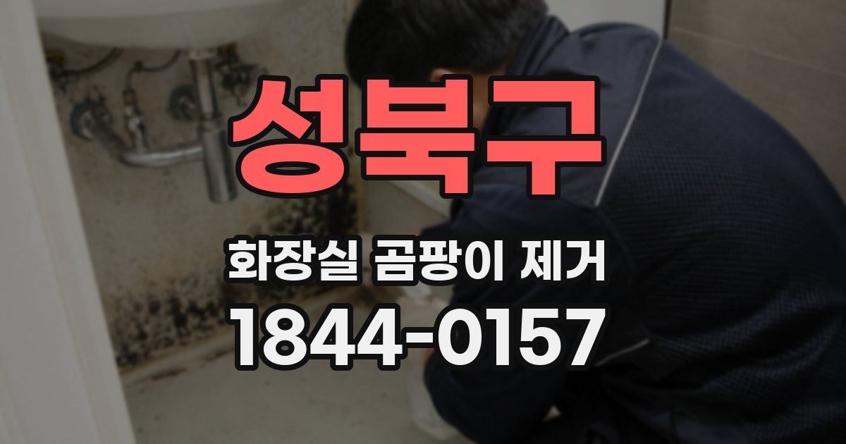 성북구 화장실 곰팡이 제거