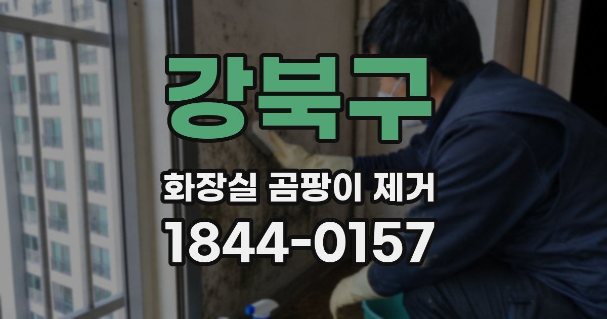 강북구 화장실 곰팡이 제거