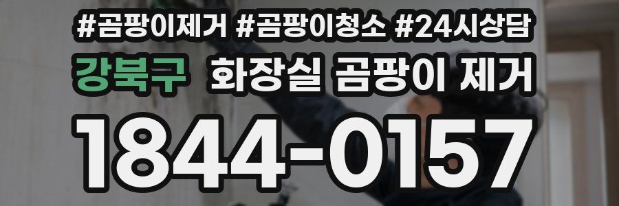 강북구 화장실 곰팡이 제거