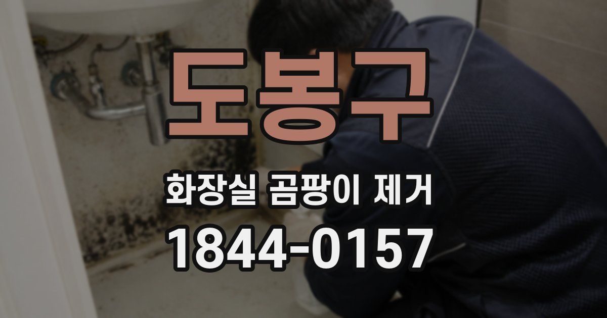 도봉구 화장실 곰팡이 제거
