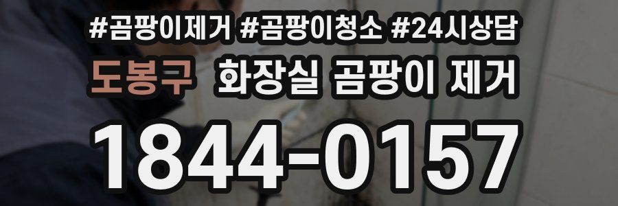 도봉구 화장실 곰팡이 제거