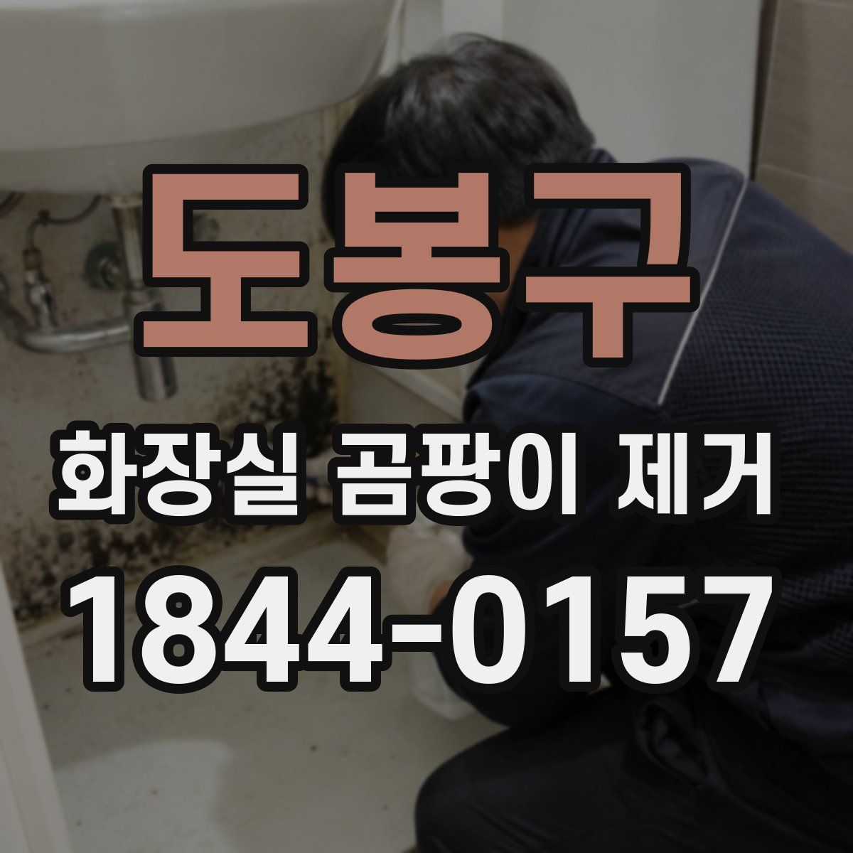 도봉구 화장실 곰팡이 제거