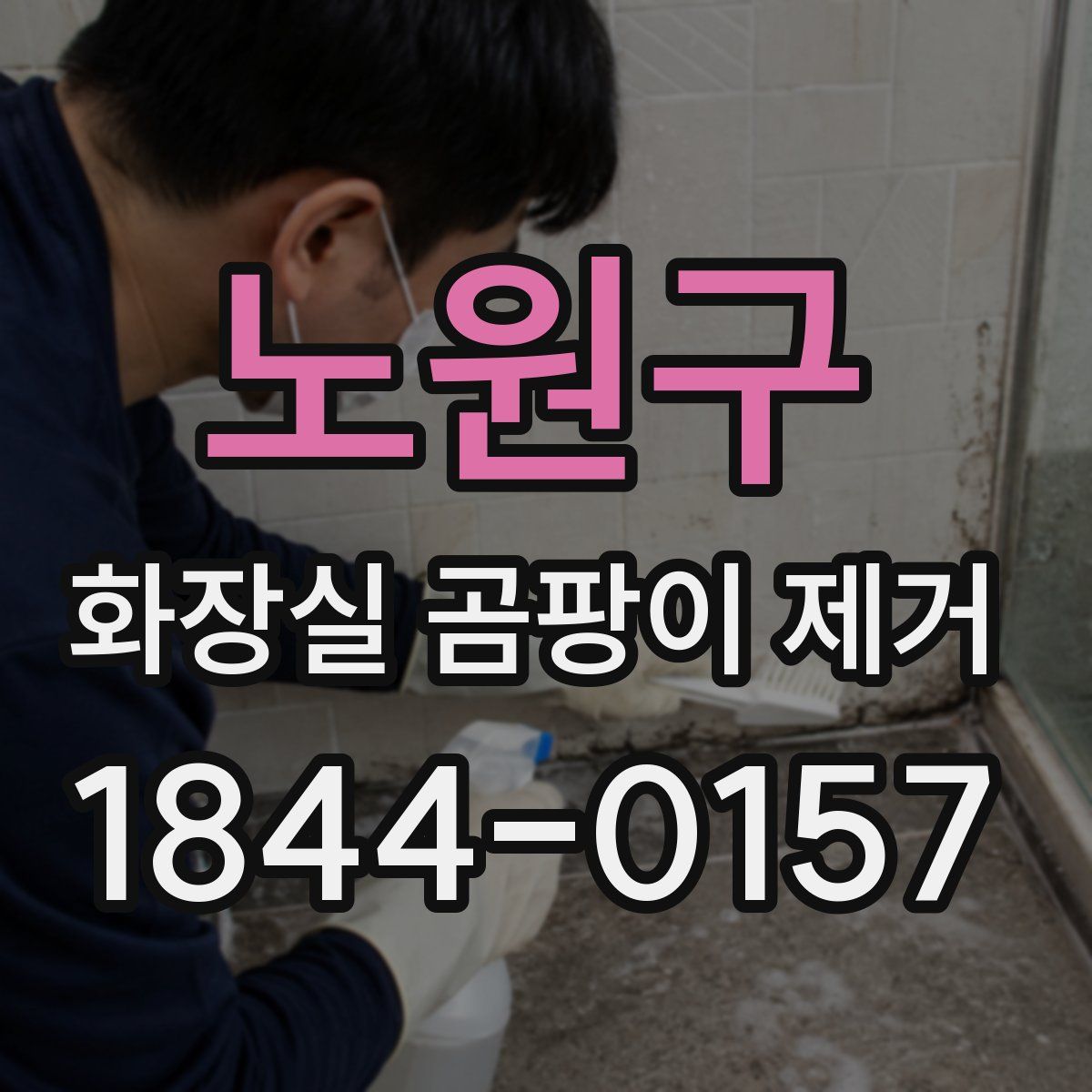 노원구 화장실 곰팡이 제거