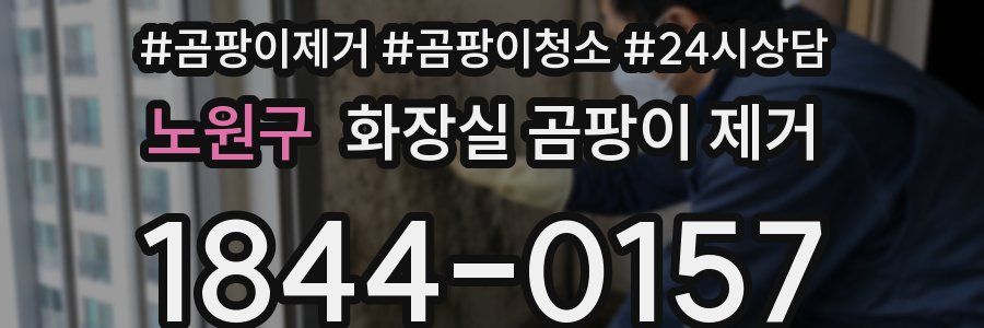 노원구 화장실 곰팡이 제거