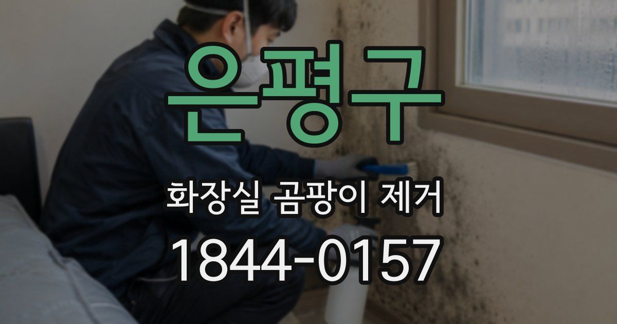 은평구 화장실 곰팡이 제거