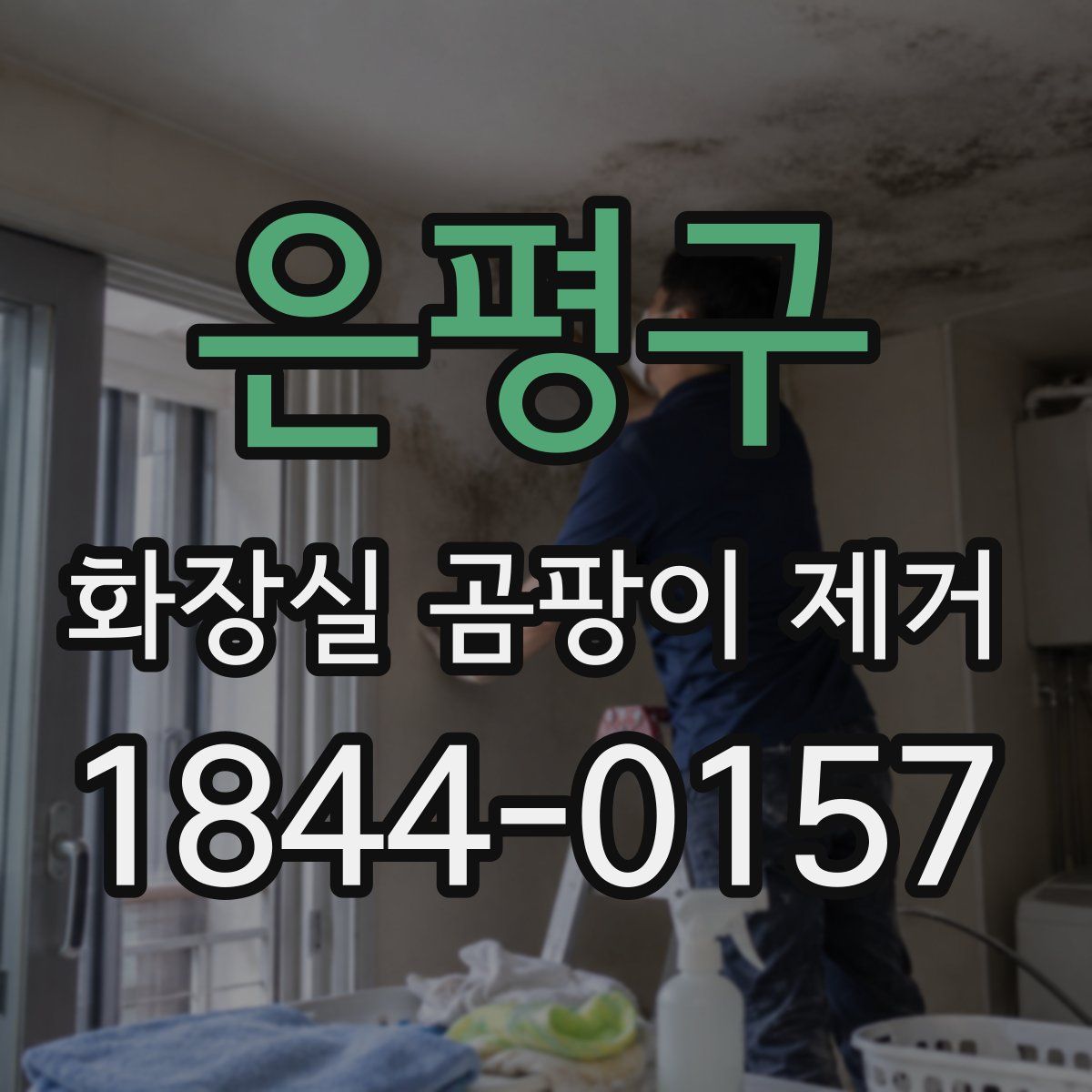 은평구 화장실 곰팡이 제거