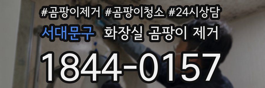서대문구 화장실 곰팡이 제거