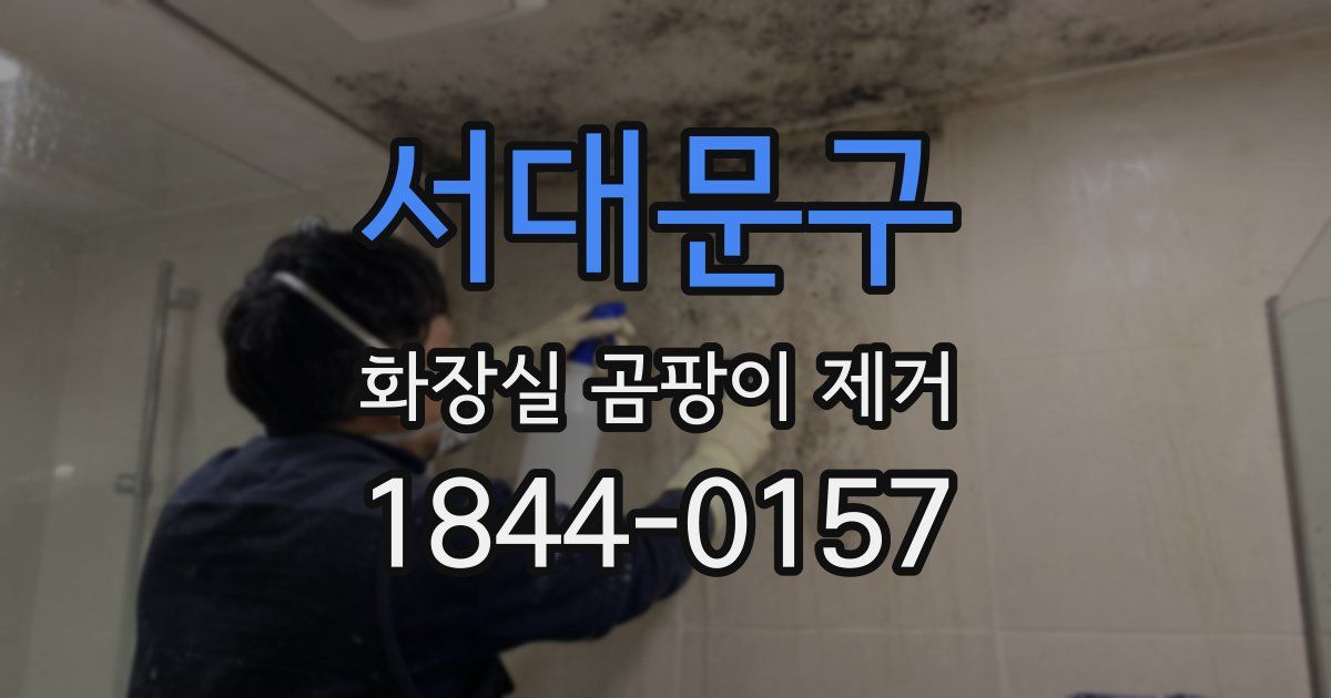 서대문구 화장실 곰팡이 제거