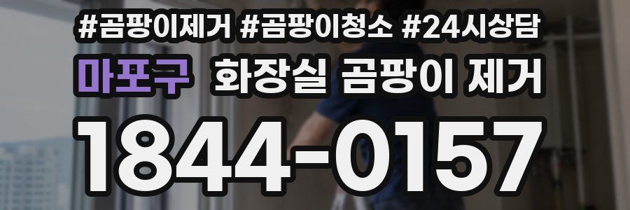 마포구 화장실 곰팡이 제거