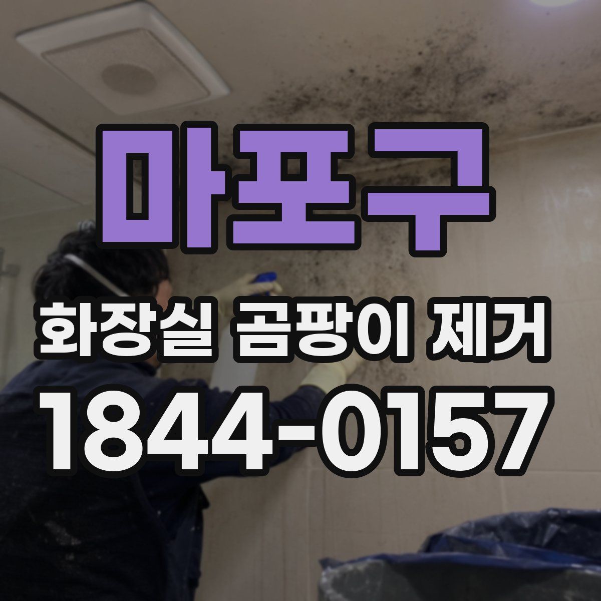 마포구 화장실 곰팡이 제거