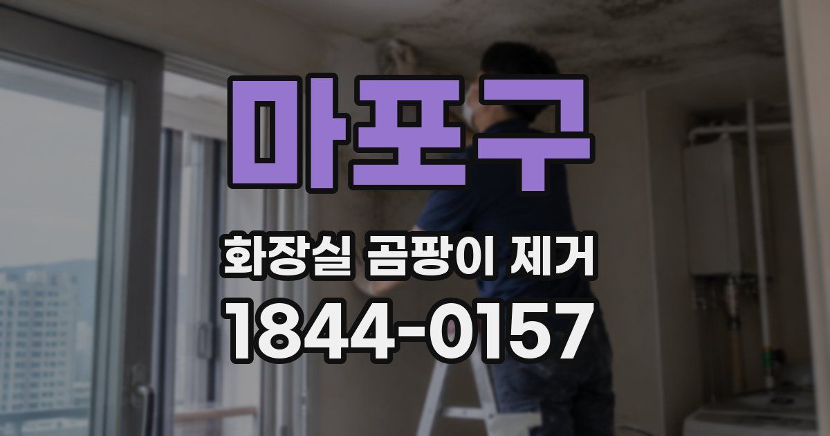 마포구 화장실 곰팡이 제거