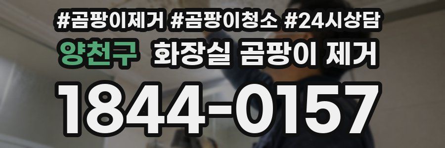 양천구 화장실 곰팡이 제거