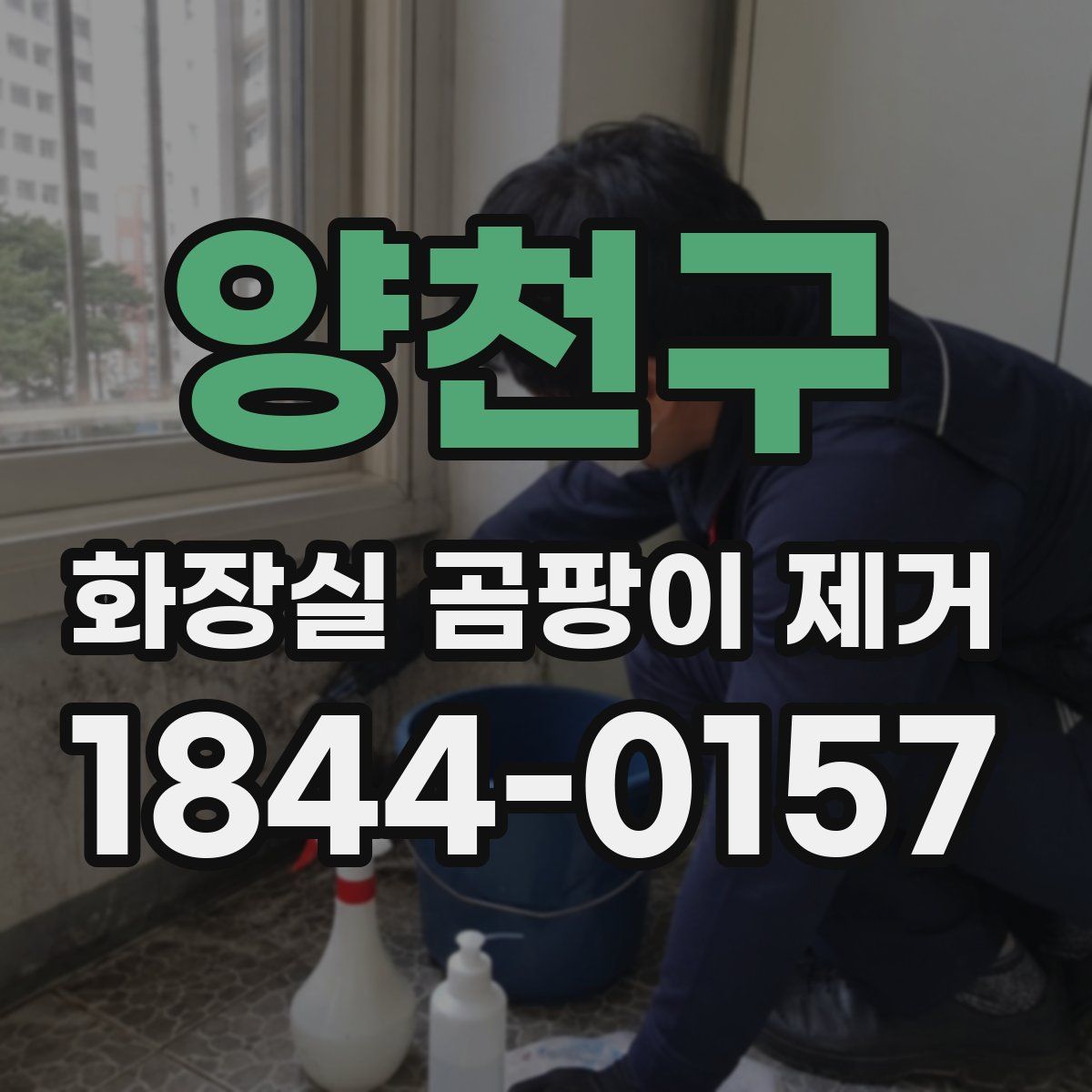 양천구 화장실 곰팡이 제거