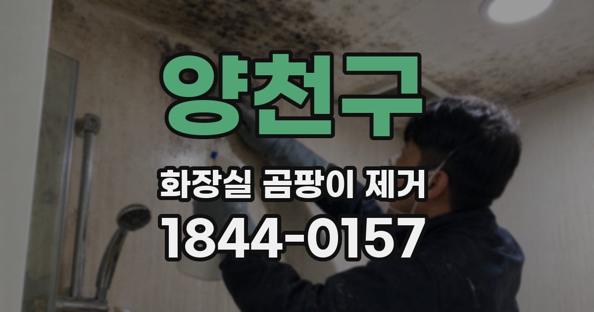 양천구 화장실 곰팡이 제거