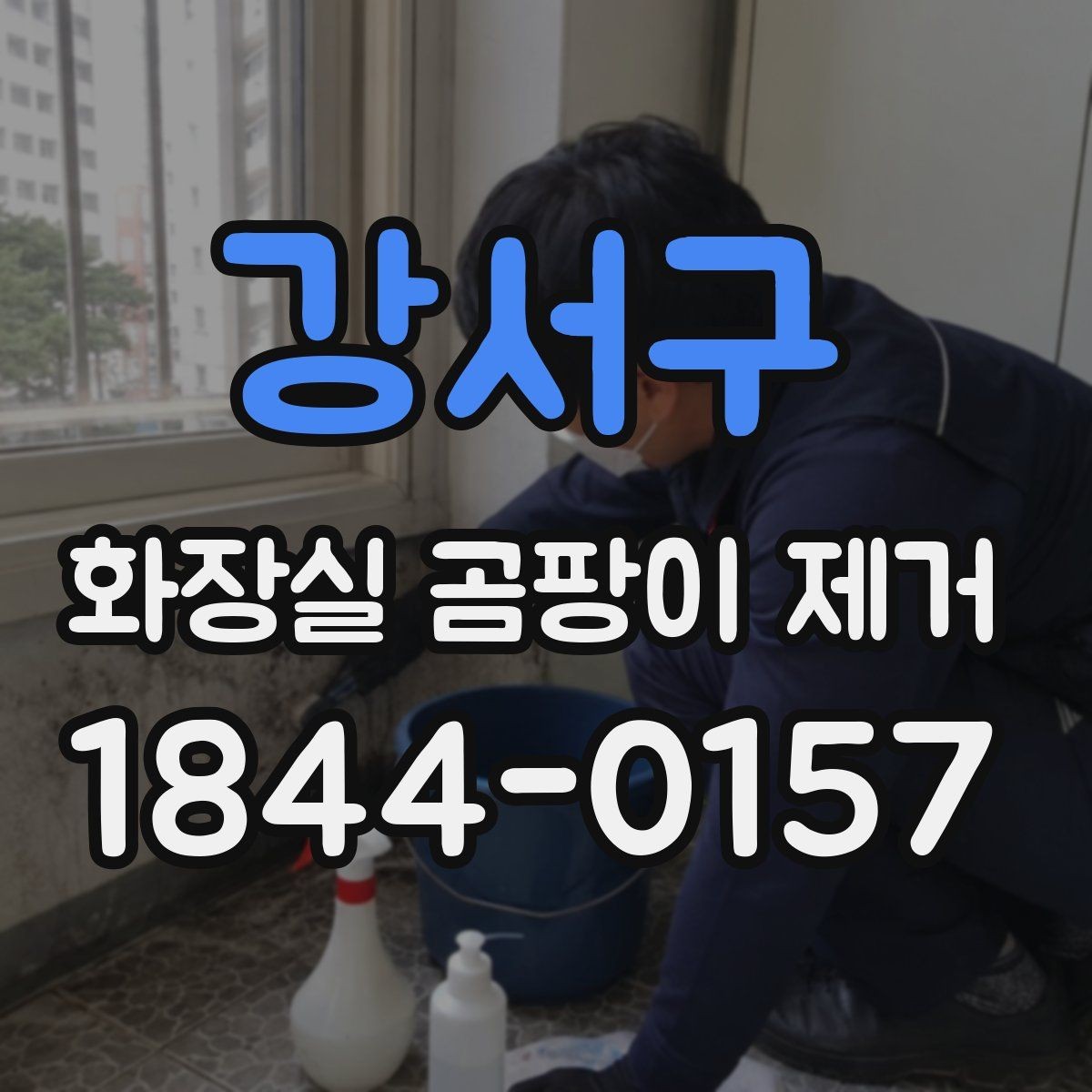 강서구 화장실 곰팡이 제거 줄눈 손상 여부를 함께 보는 이유
