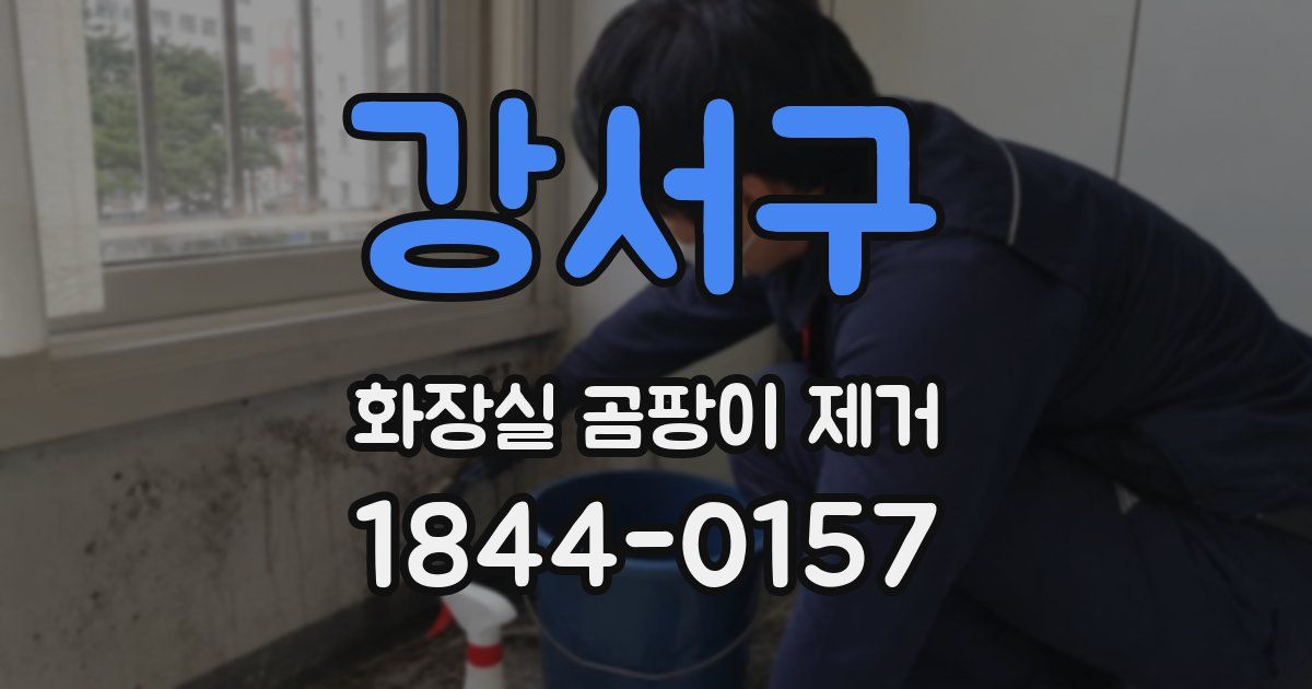 강서구 화장실 곰팡이 제거
