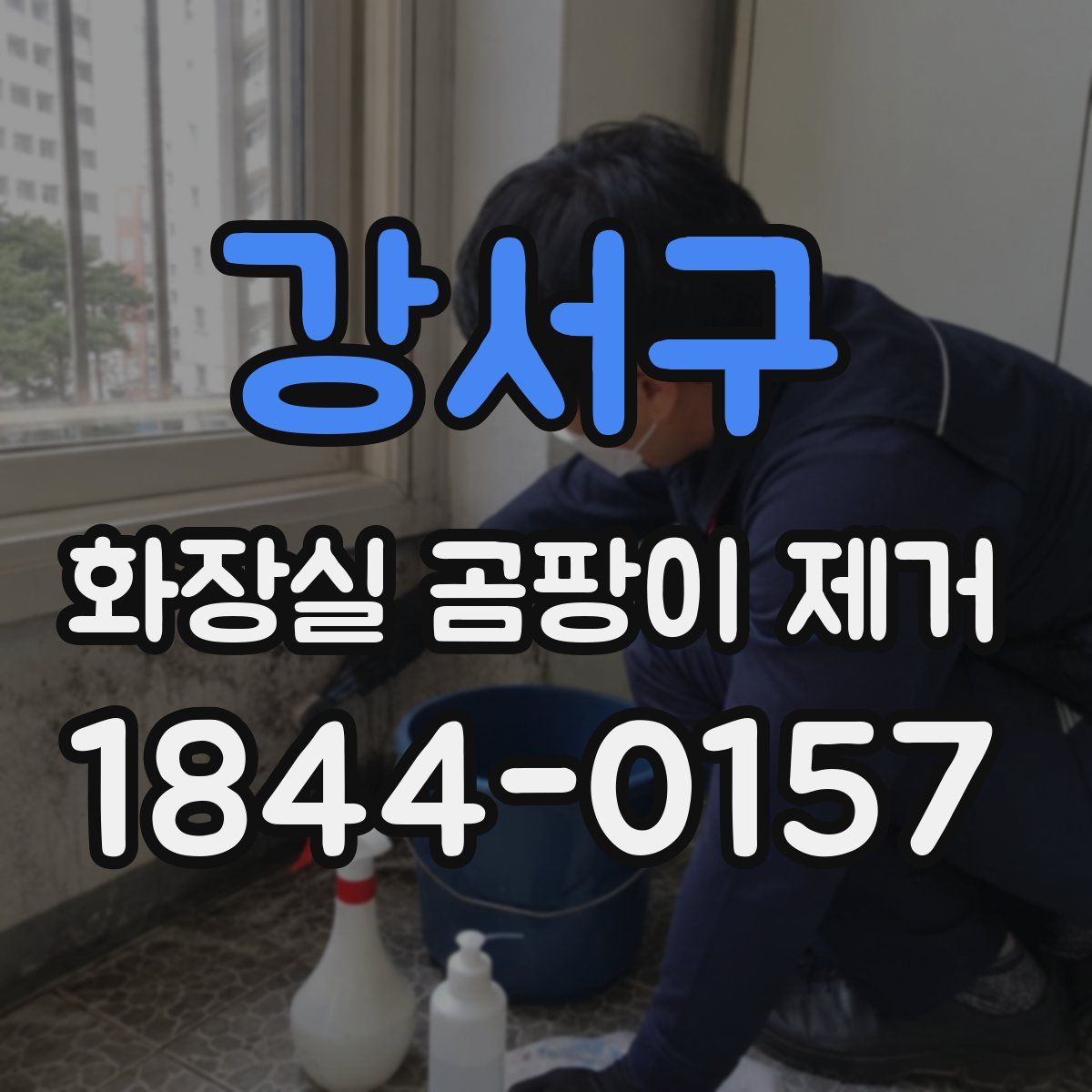 강서구 화장실 곰팡이 제거