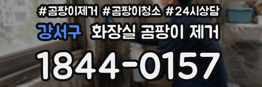 강서구 화장실 곰팡이 제거