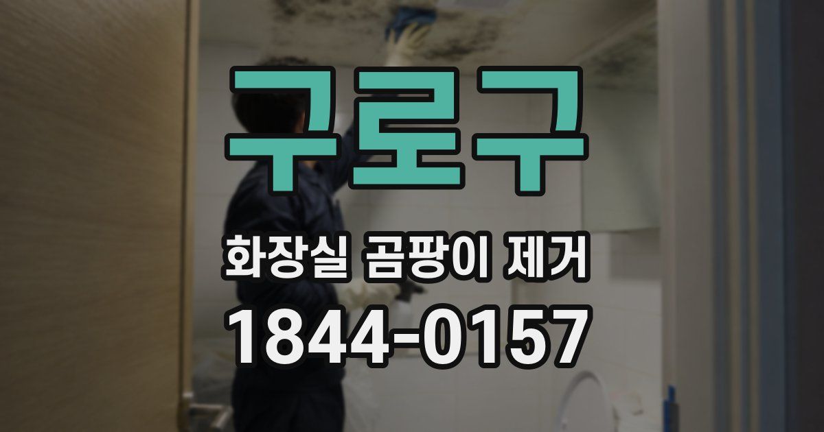 구로구 화장실 곰팡이 제거