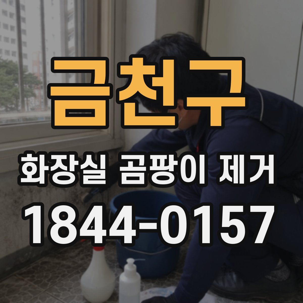금천구 화장실 곰팡이 제거