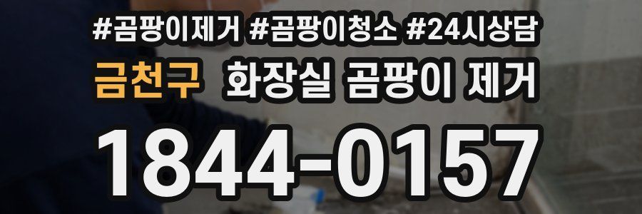 금천구 화장실 곰팡이 제거