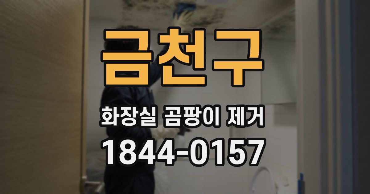 금천구 화장실 곰팡이 제거