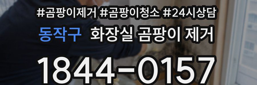동작구 화장실 곰팡이 제거
