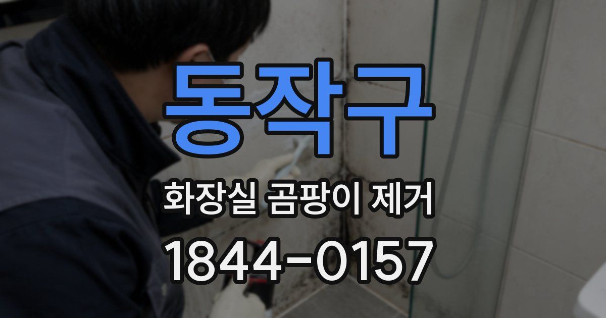 동작구 화장실 곰팡이 제거