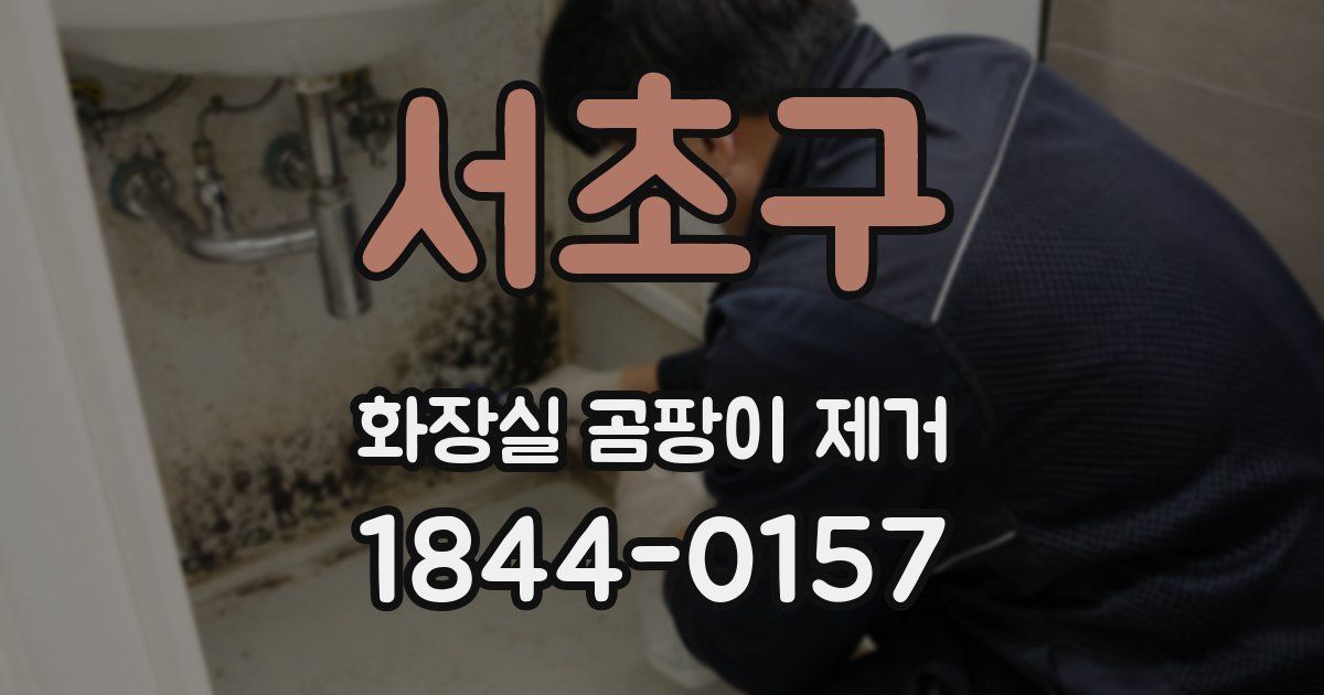 서초구 화장실 곰팡이 제거