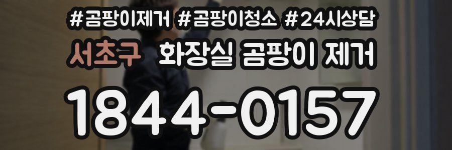 서초구 화장실 곰팡이 제거
