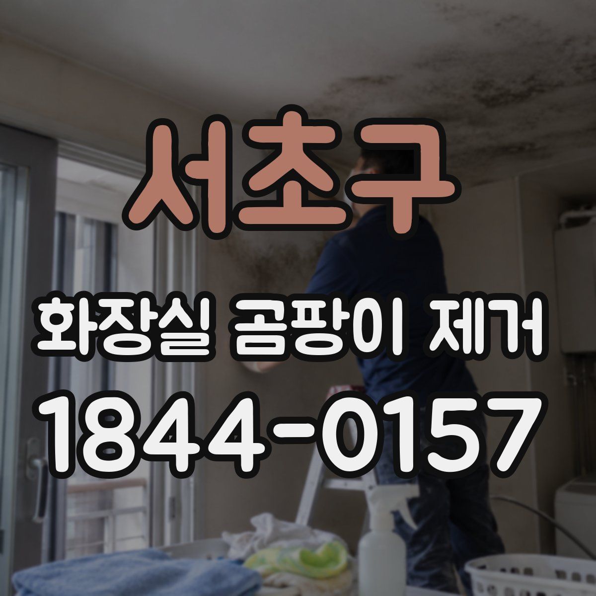 서초구 화장실 곰팡이 제거