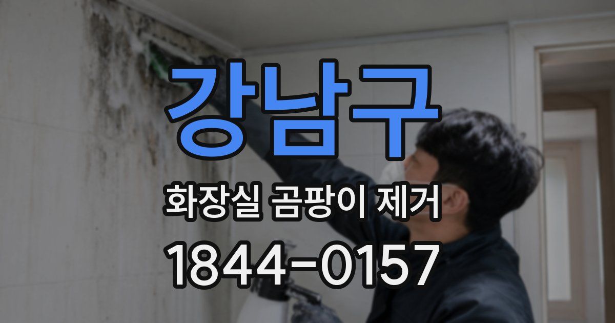 강남구 화장실 곰팡이 제거