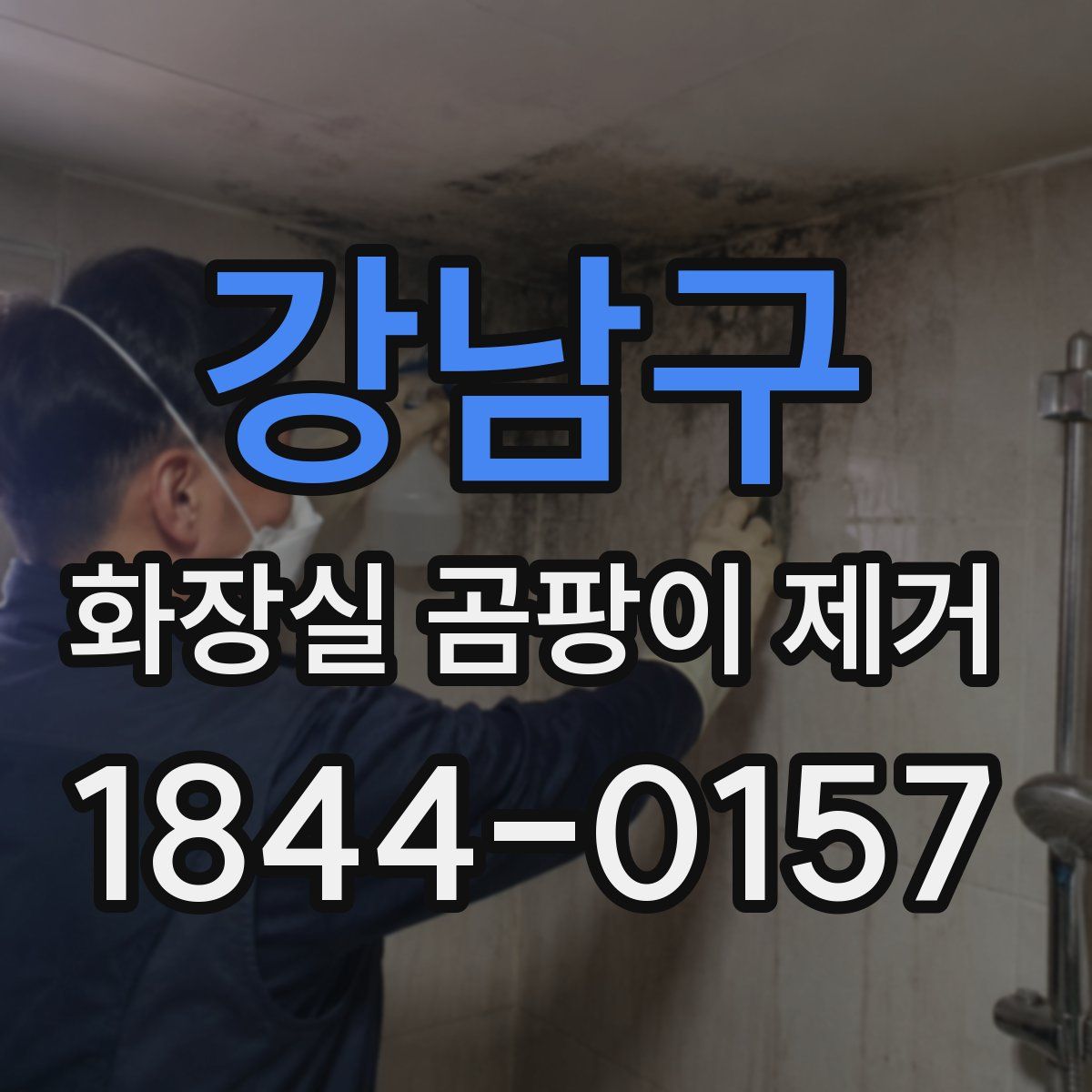 강남구 화장실 곰팡이 제거