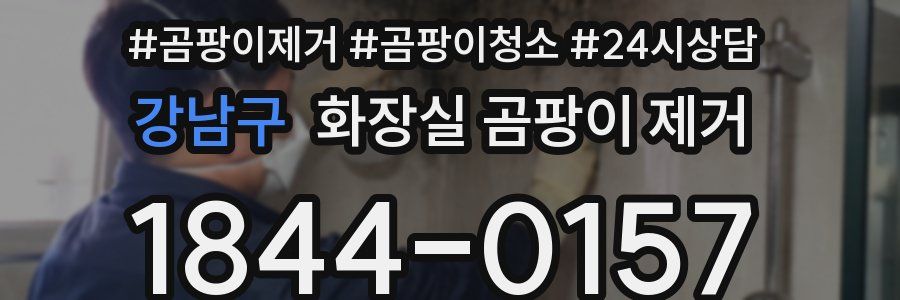 강남구 화장실 곰팡이 제거
