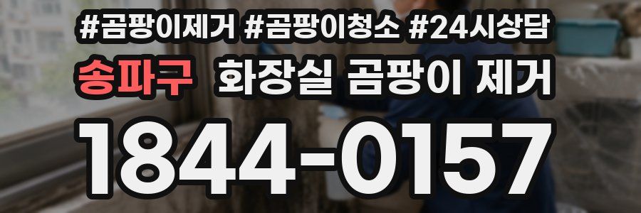 송파구 화장실 곰팡이 제거