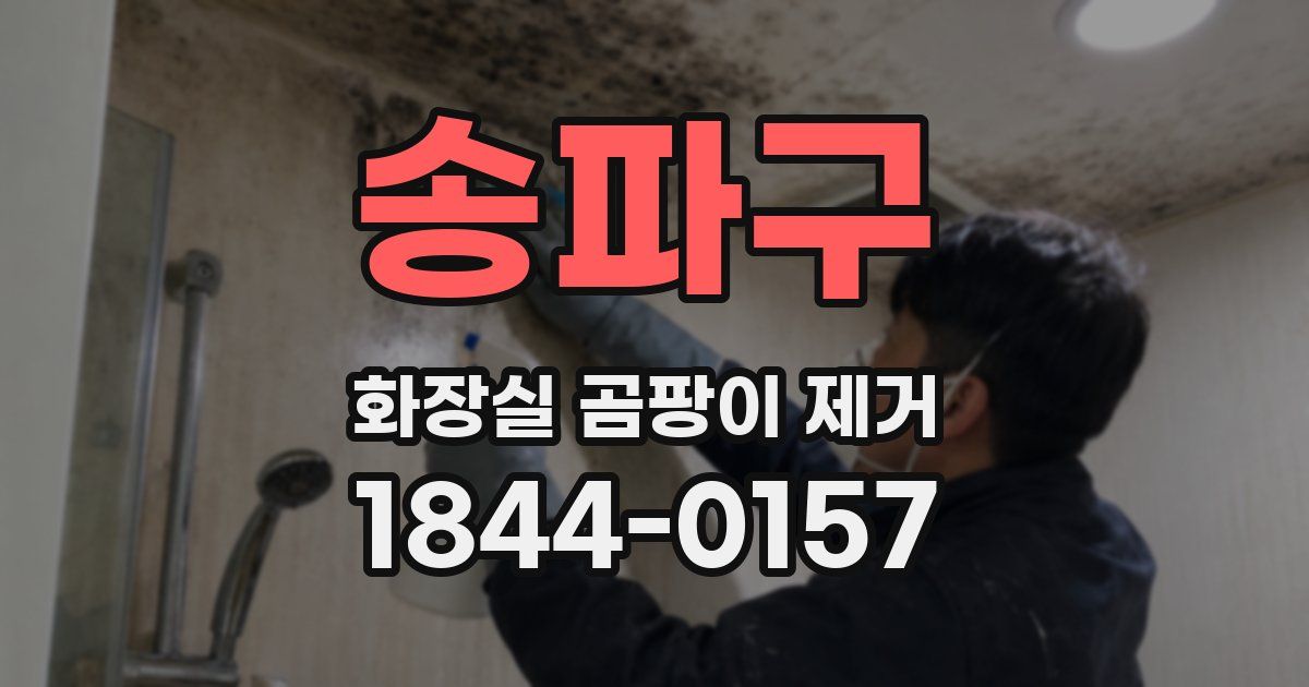 송파구 화장실 곰팡이 제거