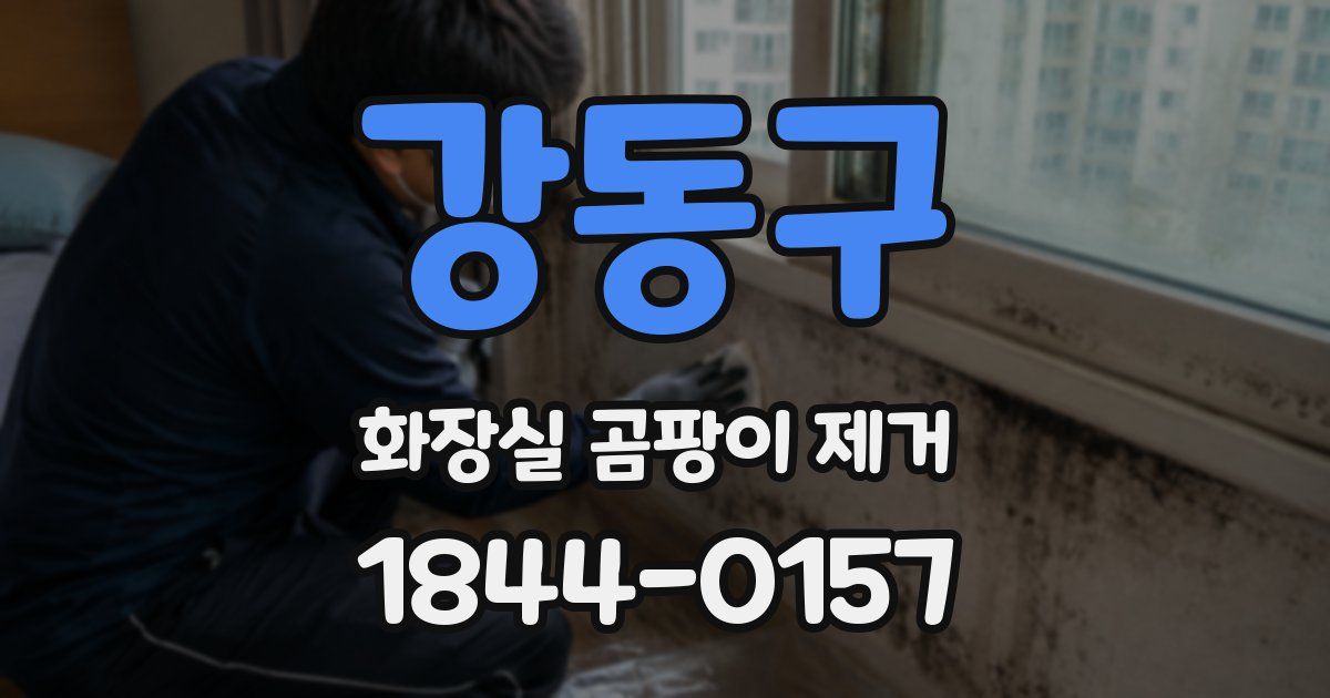 강동구 화장실 곰팡이 제거