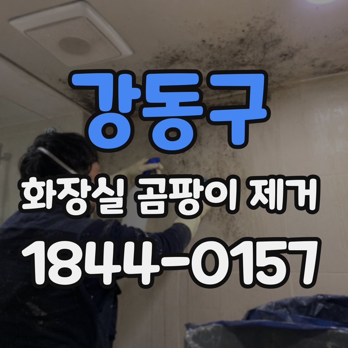 강동구 화장실 곰팡이 제거