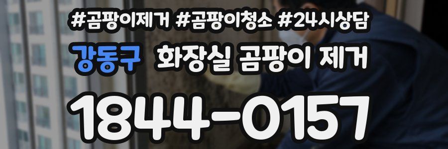 강동구 화장실 곰팡이 제거
