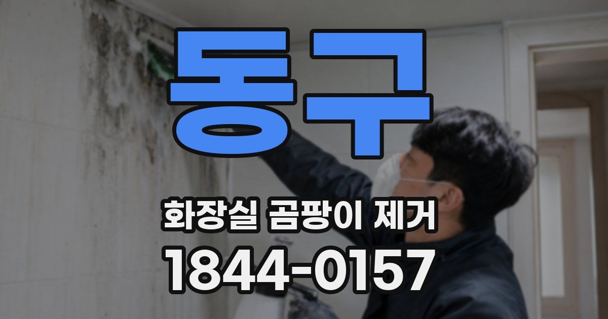 동구 화장실 곰팡이 제거